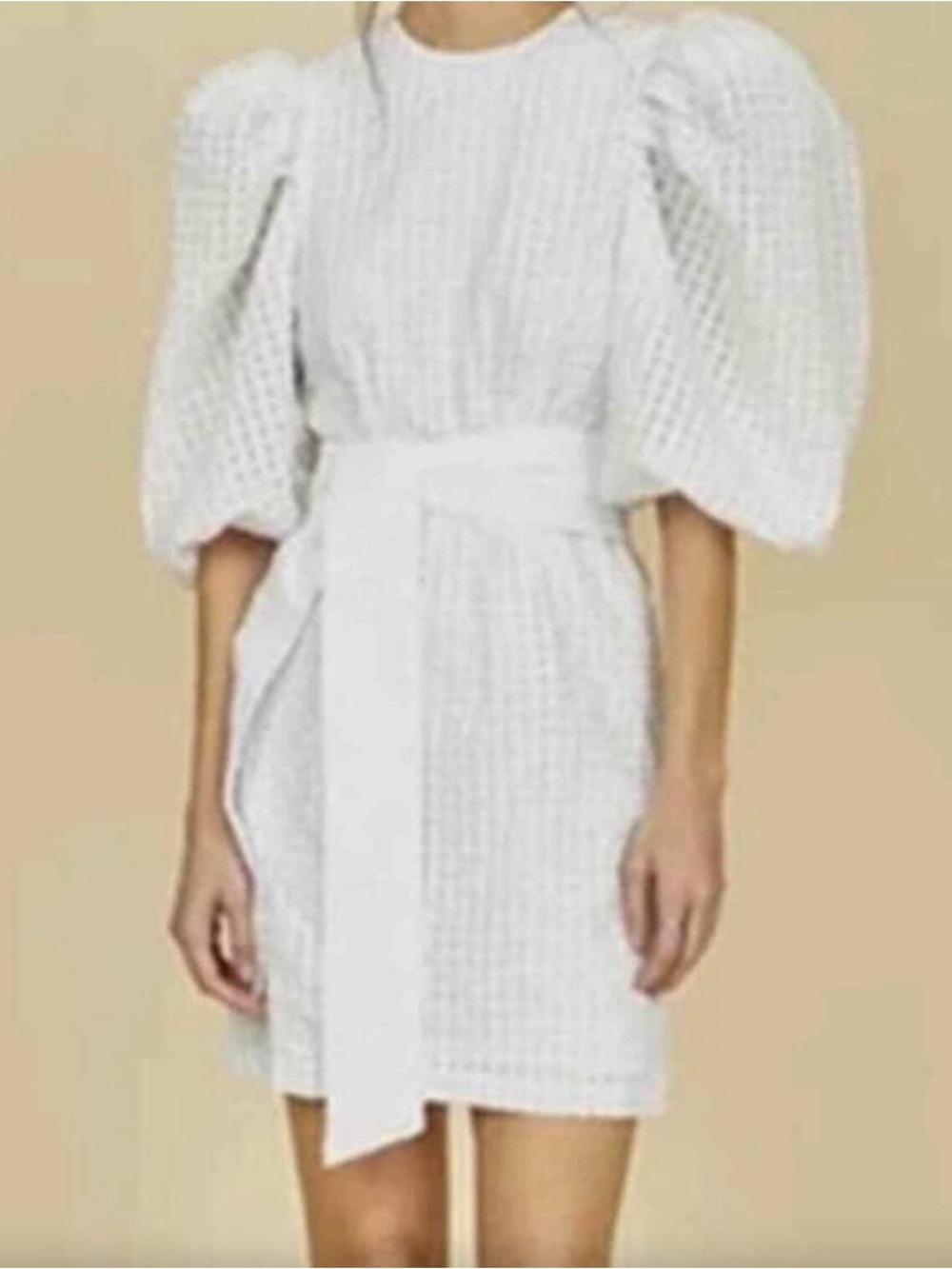 Hunter Bell Sutton Puff Sleeve Belted Mini Dress Sz 8